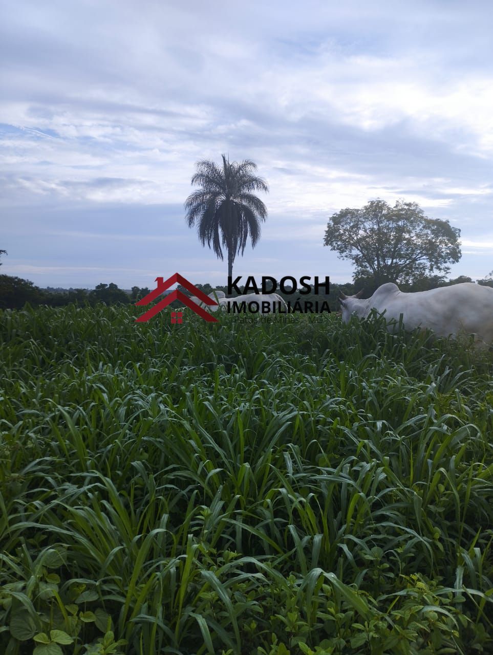 016cbbaa-4162-4d55-a495-3ec9780322a0