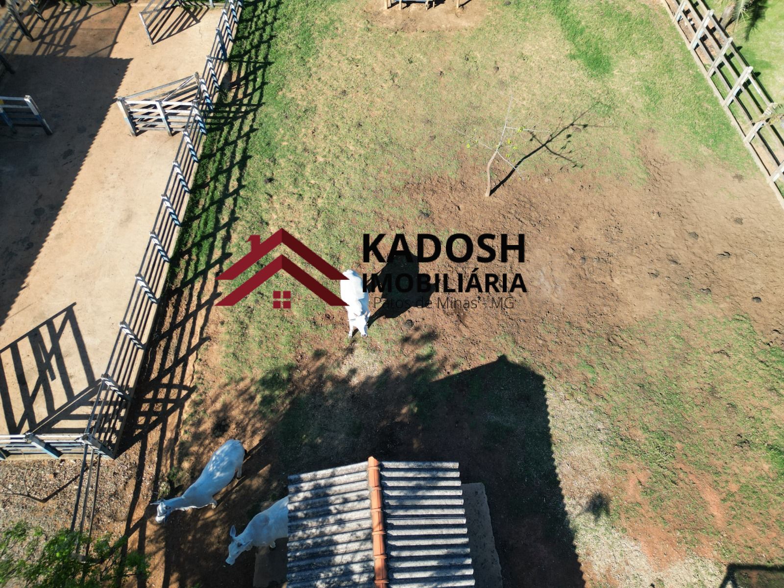 0a2df43a-63c5-4d9f-a82a-d63fc9ad4e44