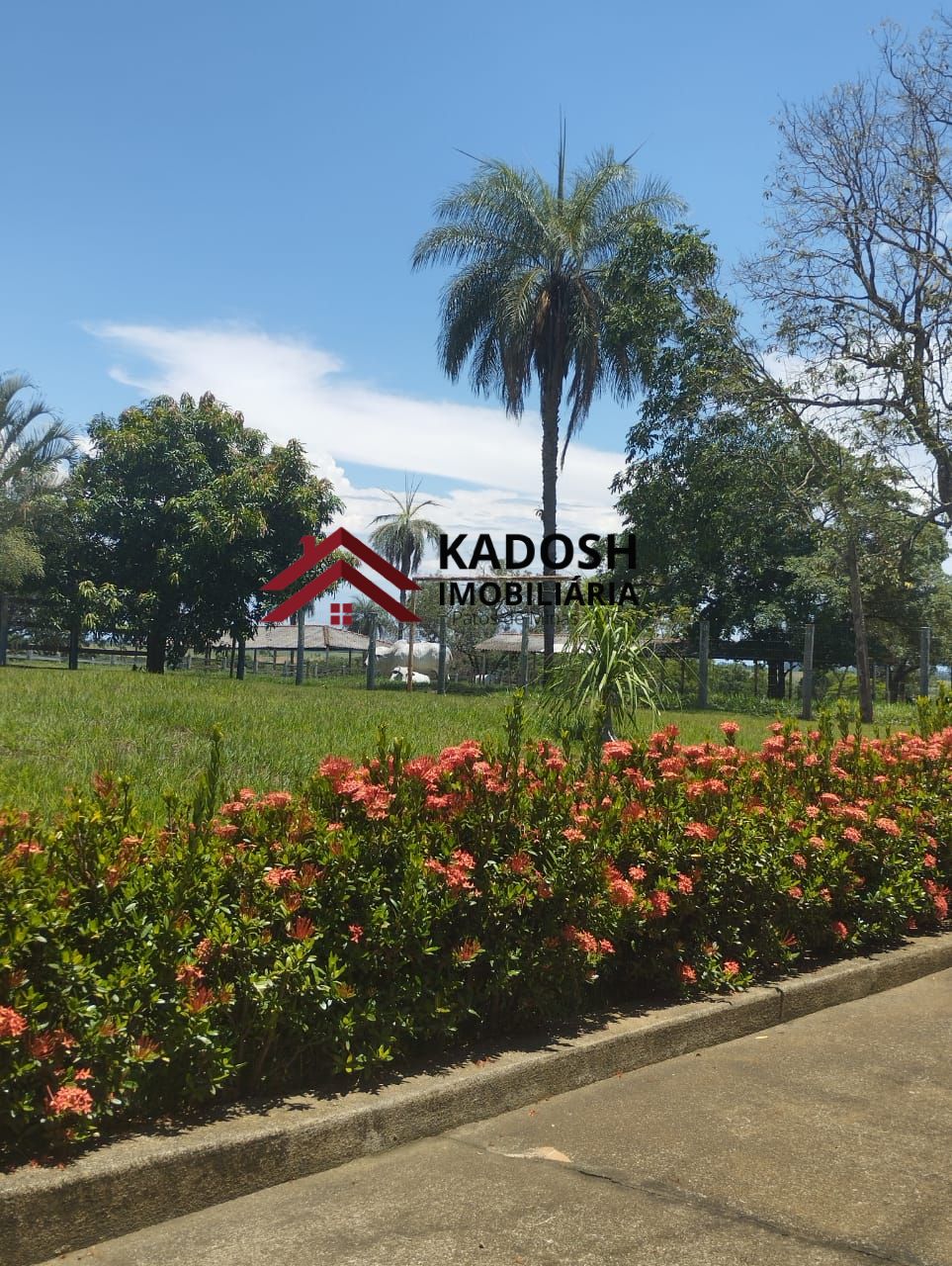 4f293adf-02c1-41f0-adcf-de3015ba39cd