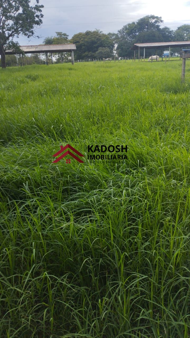 8dc0f828-850f-4593-a160-e23c9c2e8b8b