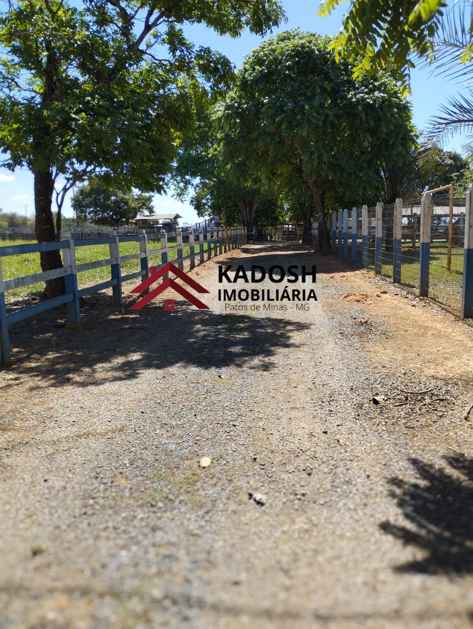 b59e276a-7755-4058-a6f6-0c77f7269e6e