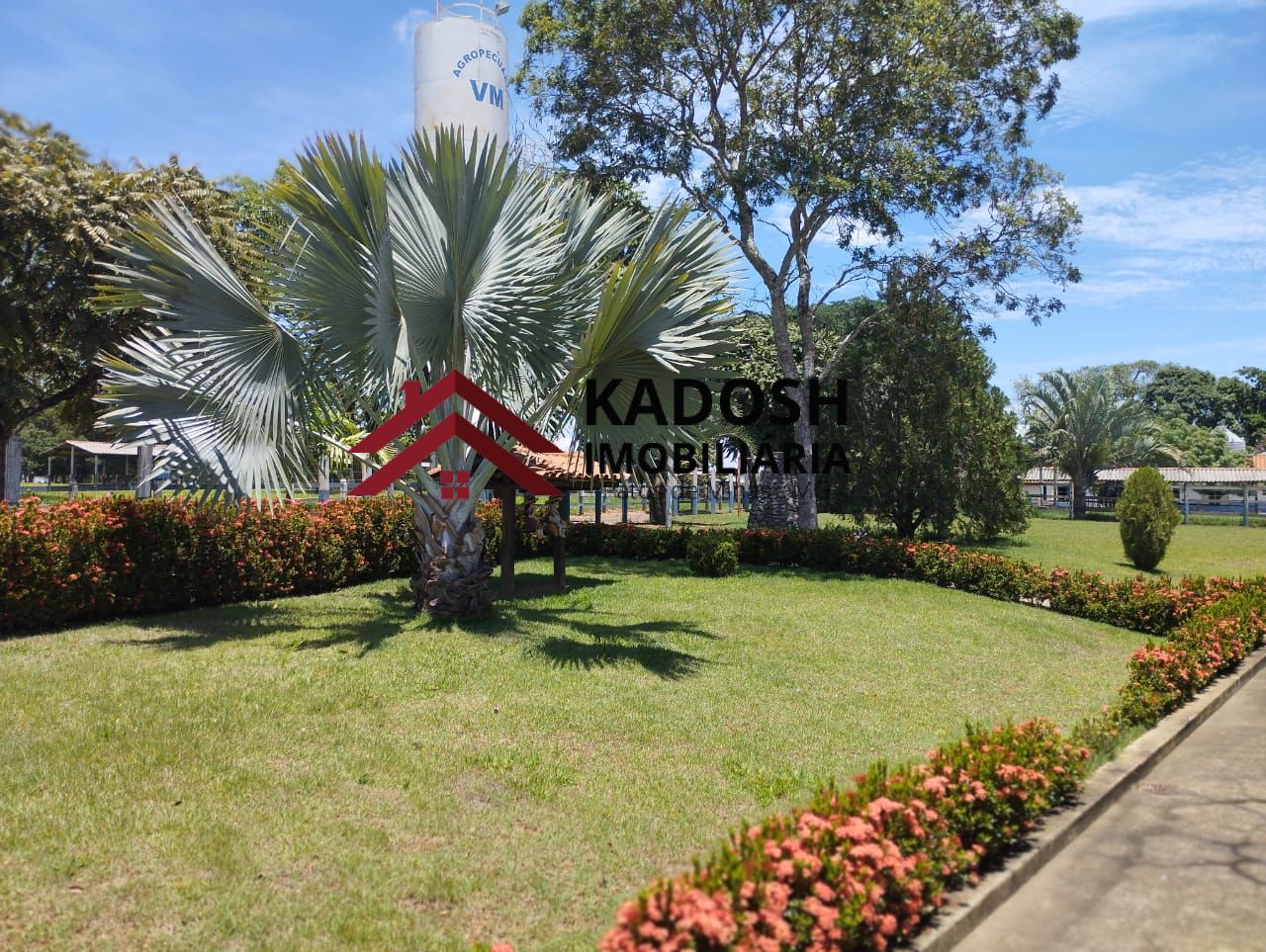 e23372a5-ffff-487f-9bed-668c94bc4954