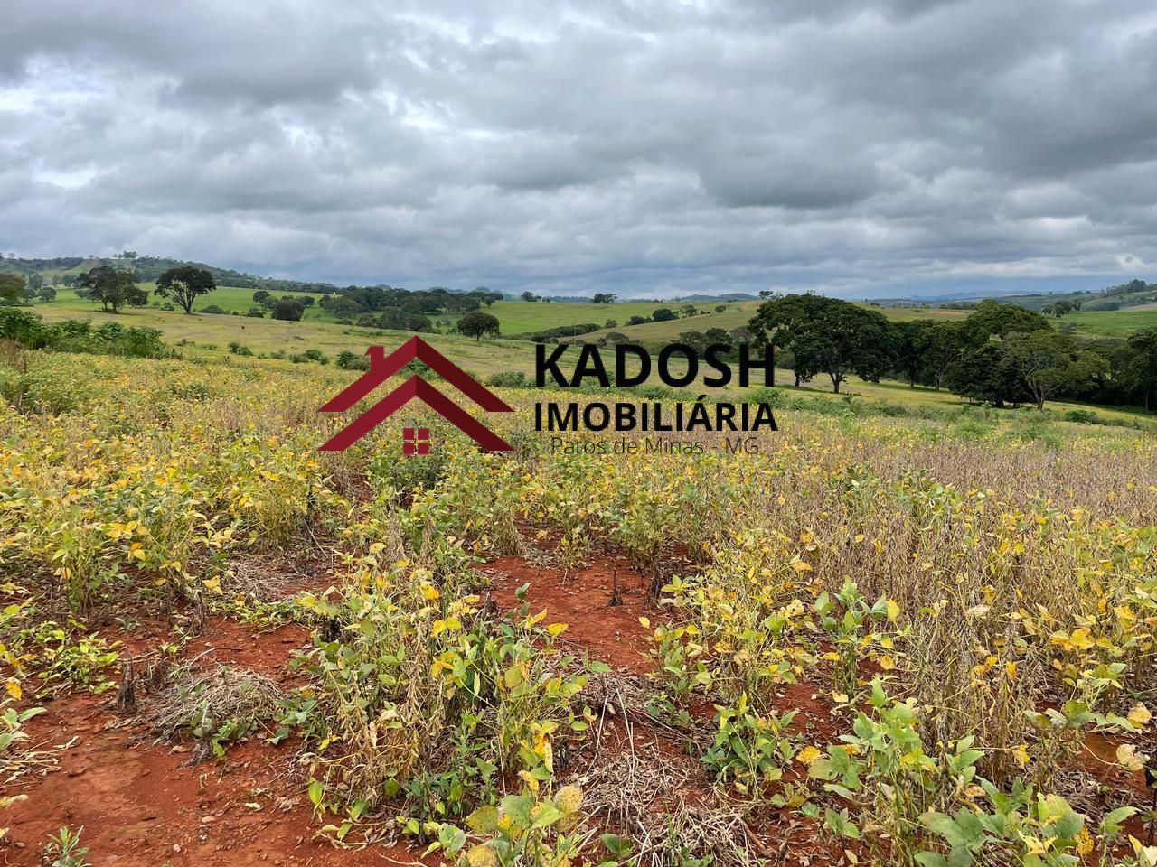 0eea324d-424d-46e6-86b9-2bde7ac566a3