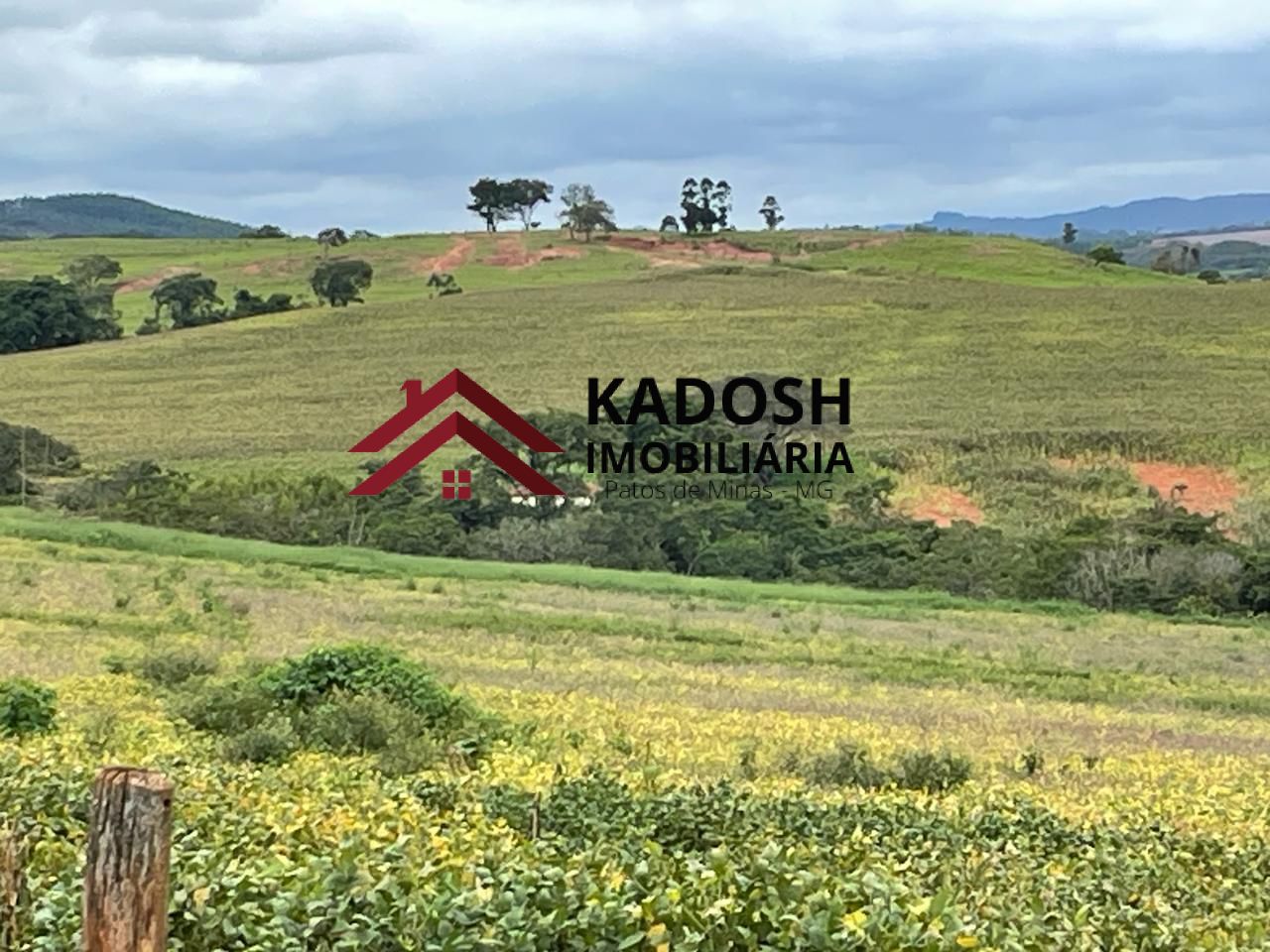 13af7046-fa97-4b20-aff0-16bcc1c37db4