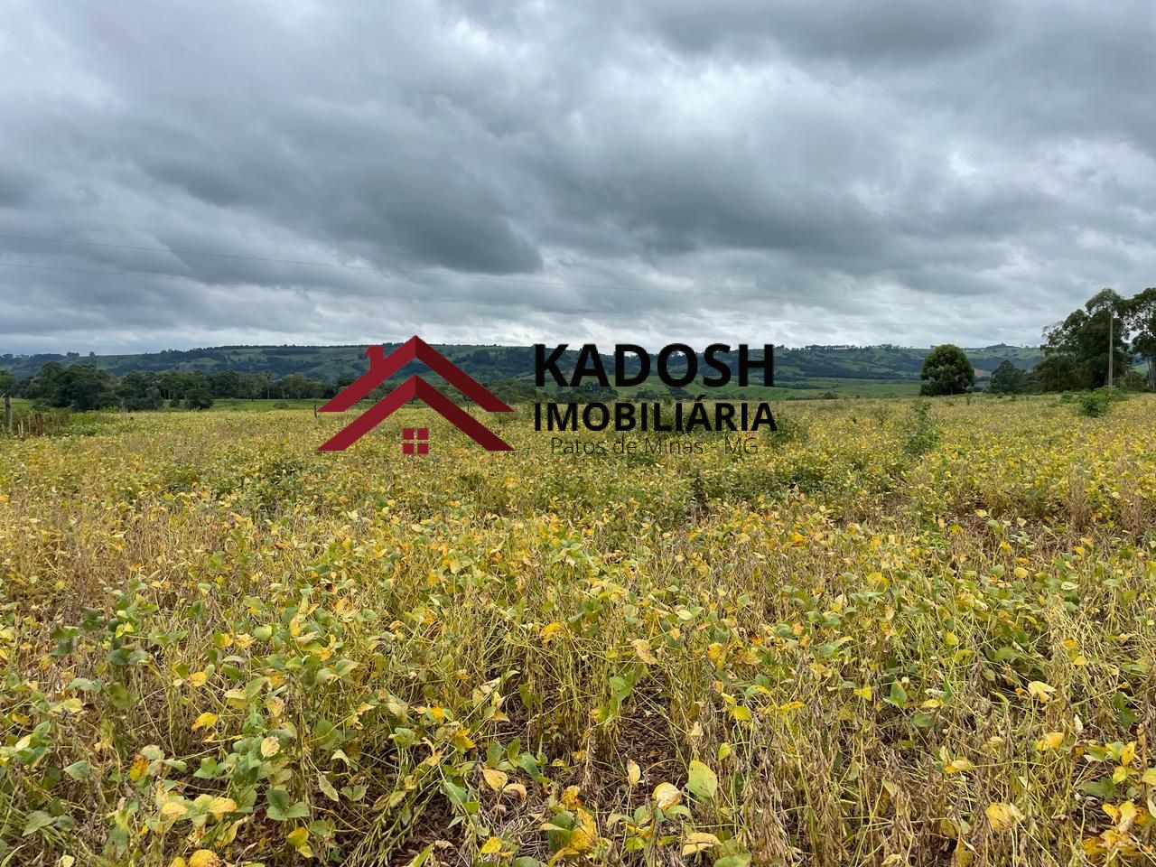 1eb9144d-19d5-4025-95d6-9020dfcfa83b