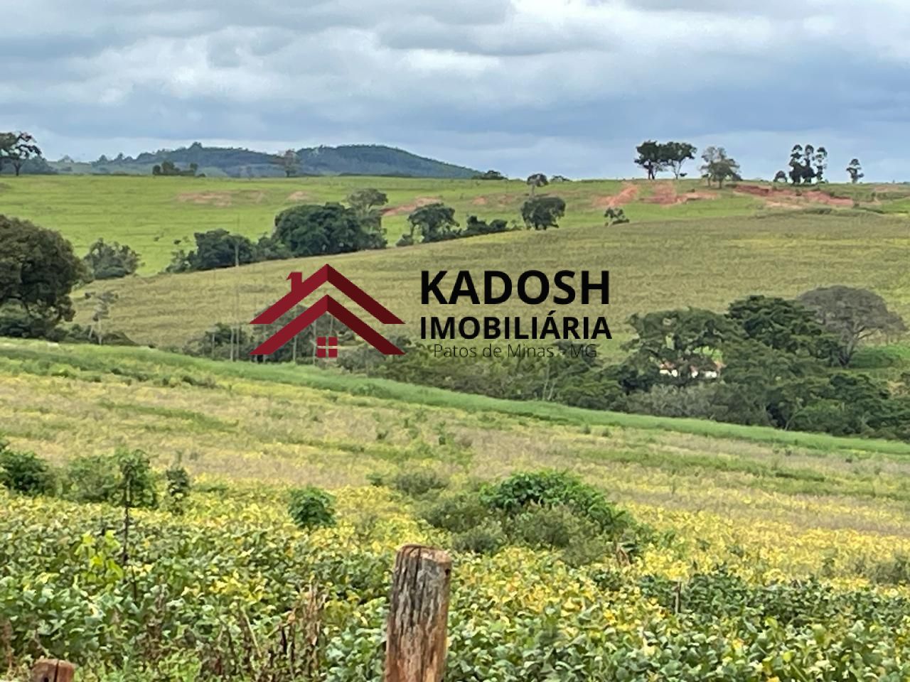 2984686c-e0b4-4735-a491-34d7be22b4be