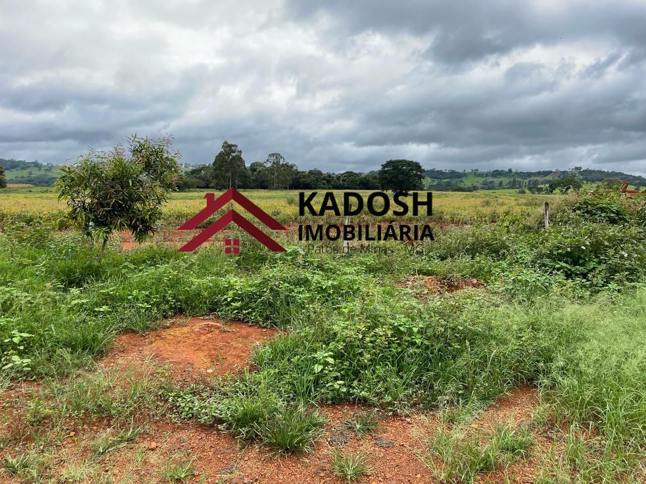 361c79c4-a46f-4fb3-93c4-b3fb596271f7