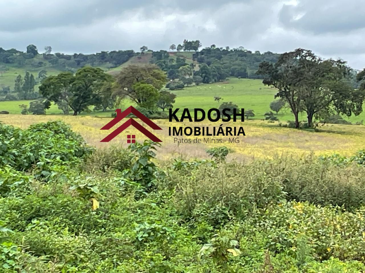 8e916a92-ff3c-49ea-92ed-e21e28ea3c7a