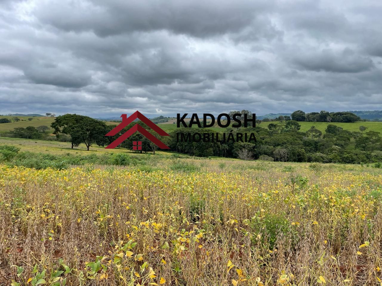 9638ab6f-18ea-44e3-a65e-f04963da674f