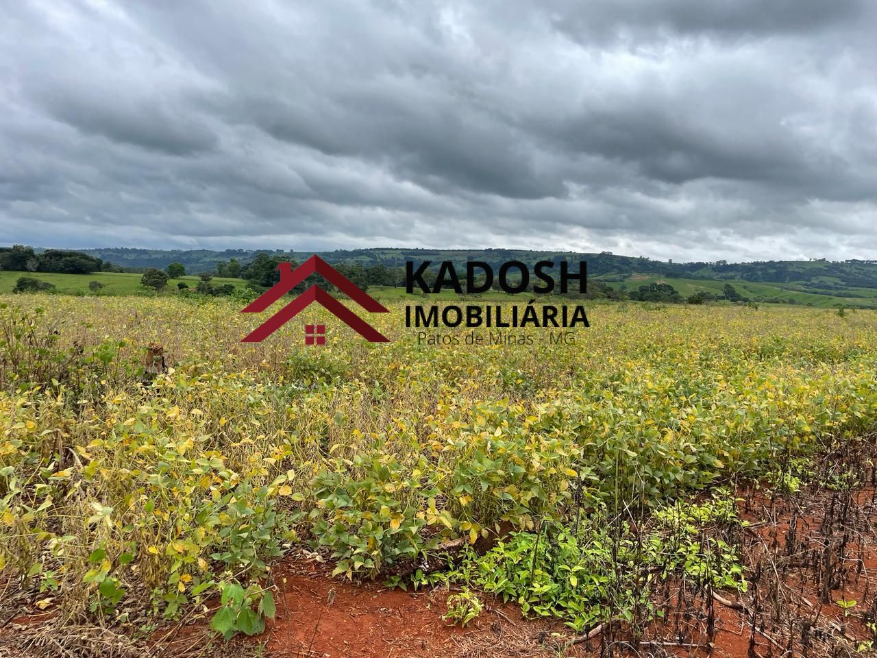 a4704e5c-7f35-4840-b4d6-af0d36e813ec