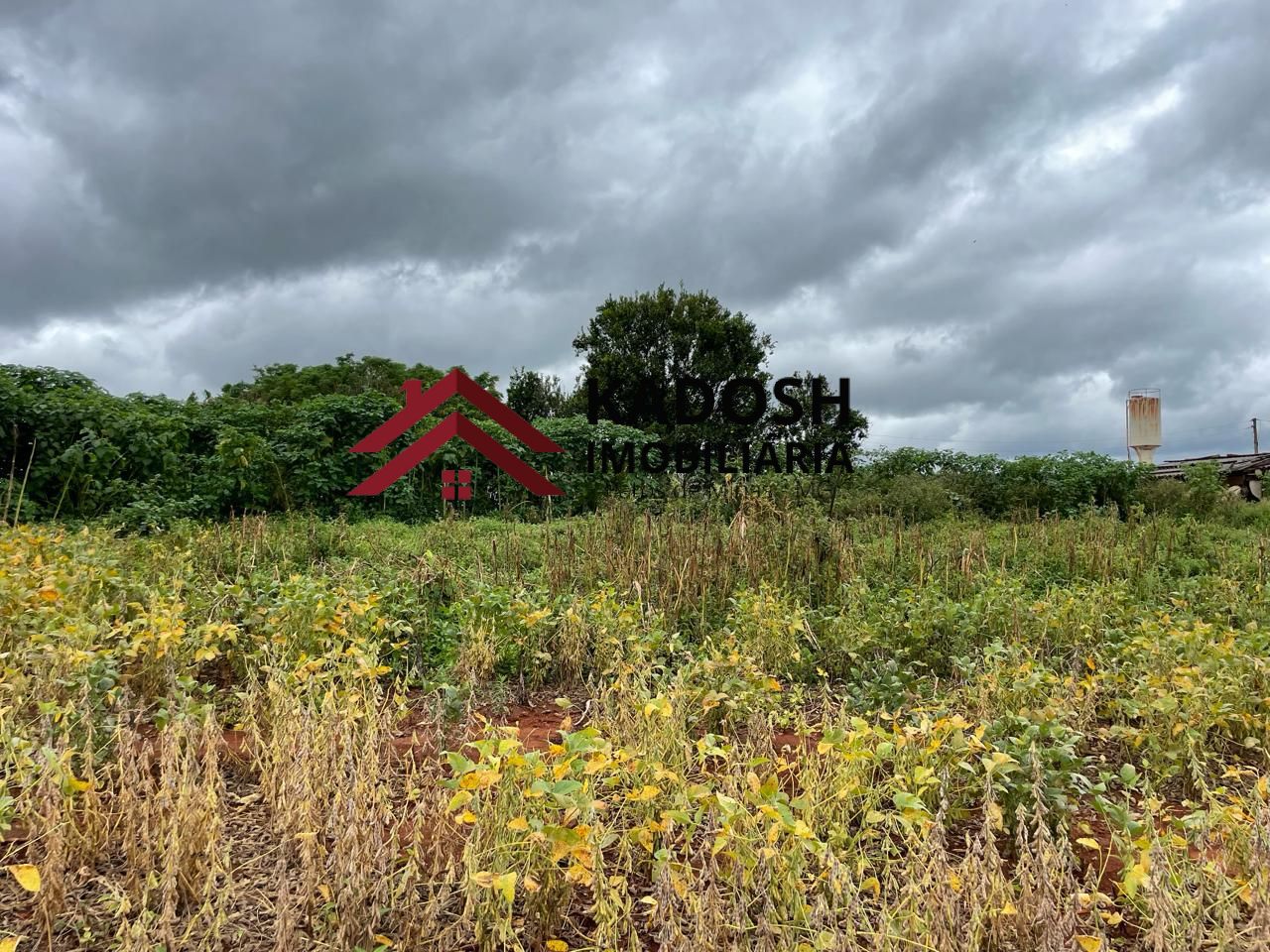 baf4e41f-5170-4d09-9994-940eeb5ebe10