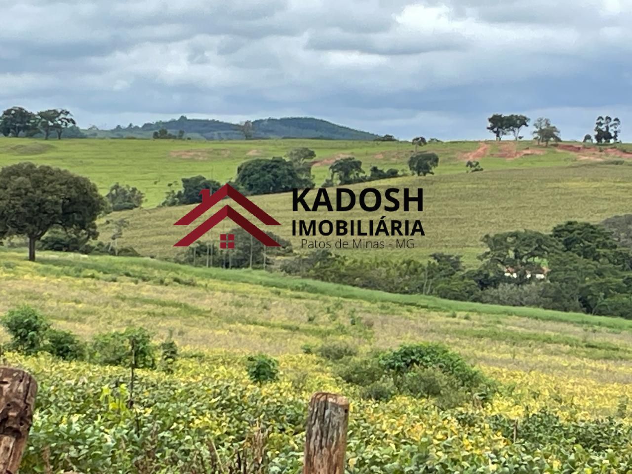 bceb1a8d-287e-4655-8249-725d527908a8