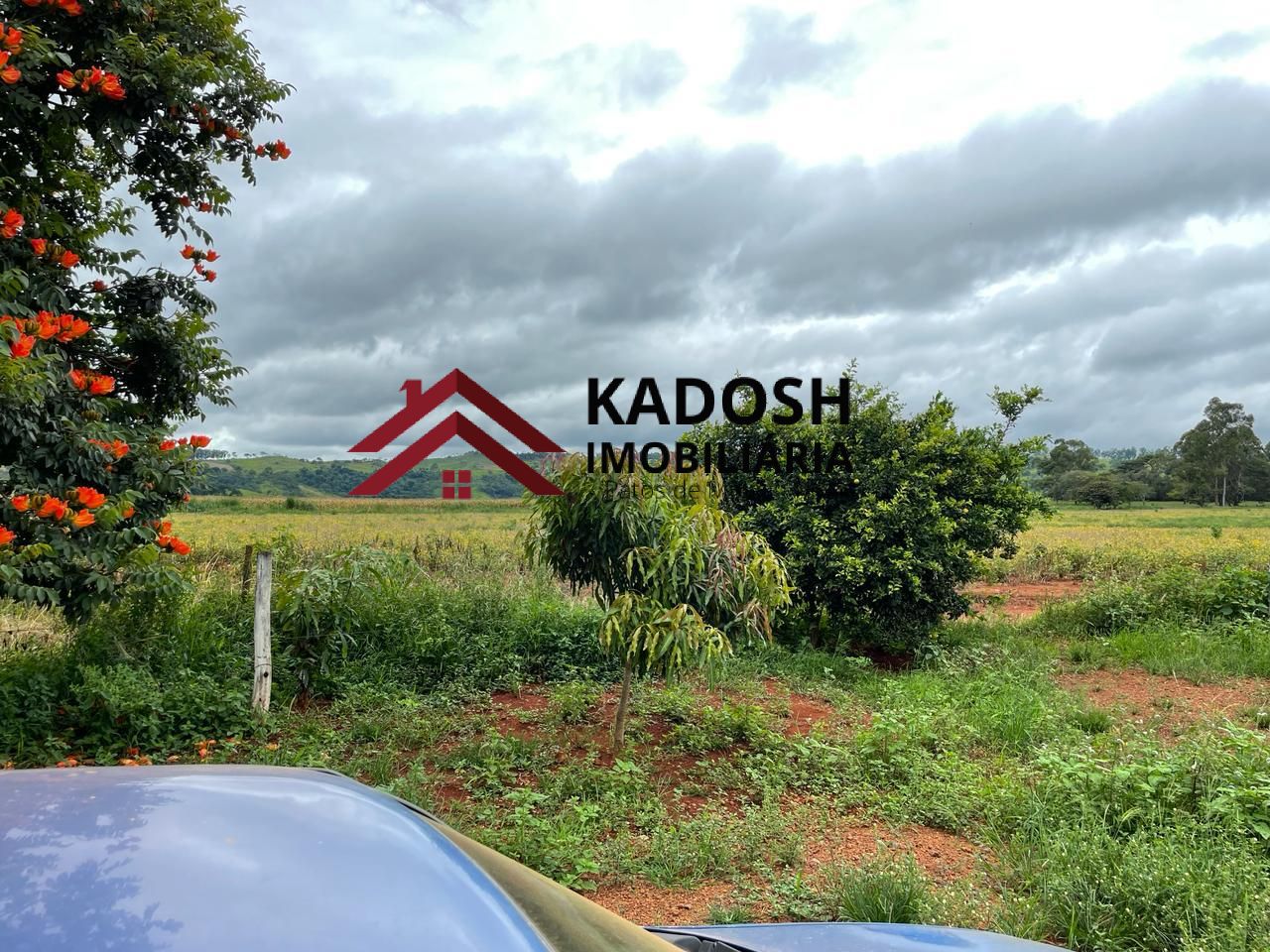 beab564e-540f-4783-b718-512a39284db3