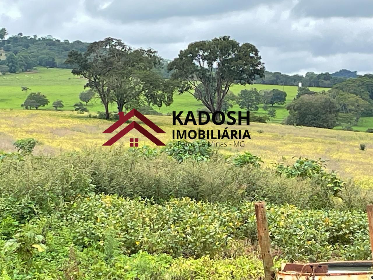 ce0e862d-0e0e-4dcc-9b25-ac25ea9c0505