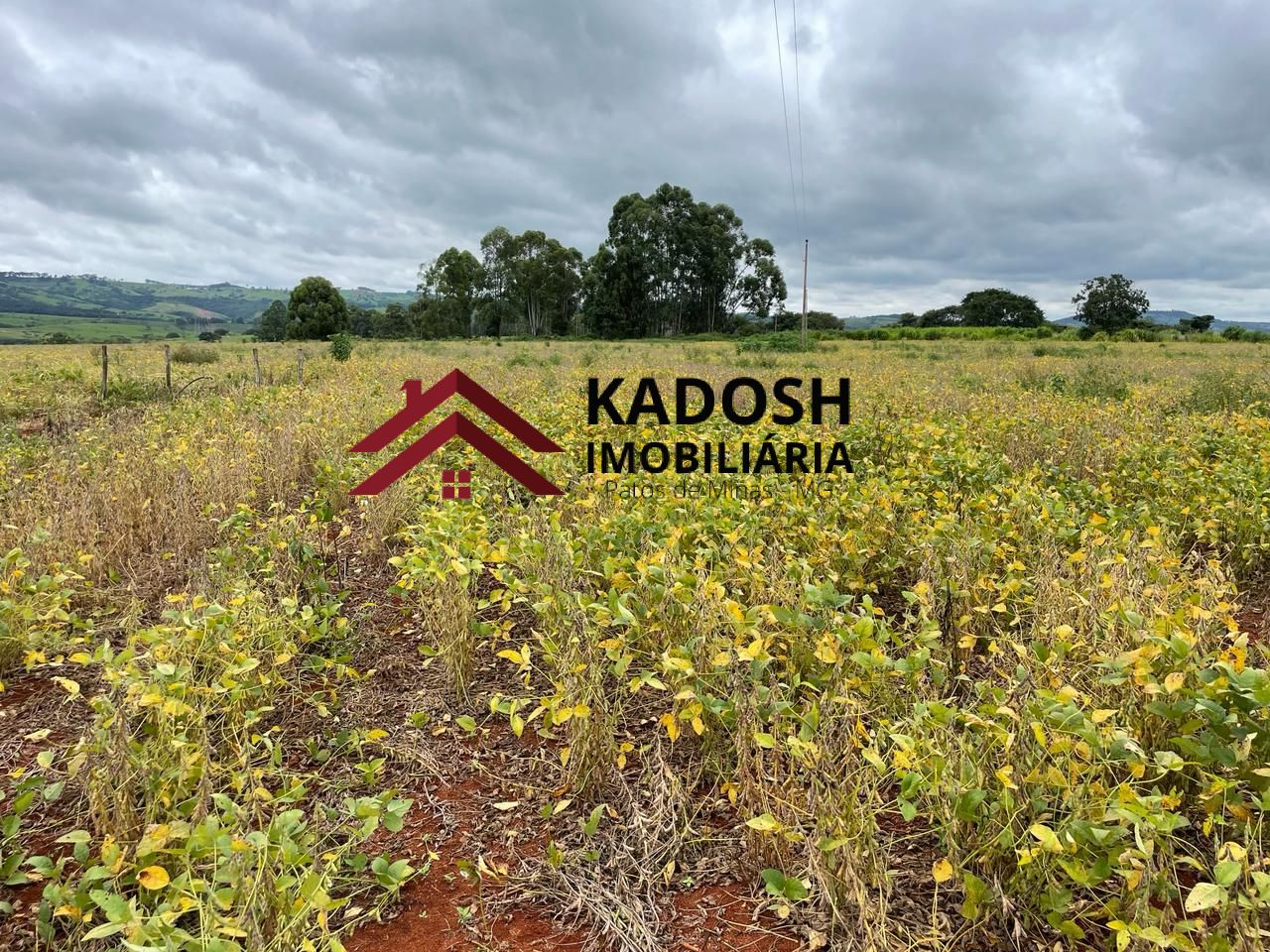 d1c0c503-5afe-4464-8077-451a17867bf8