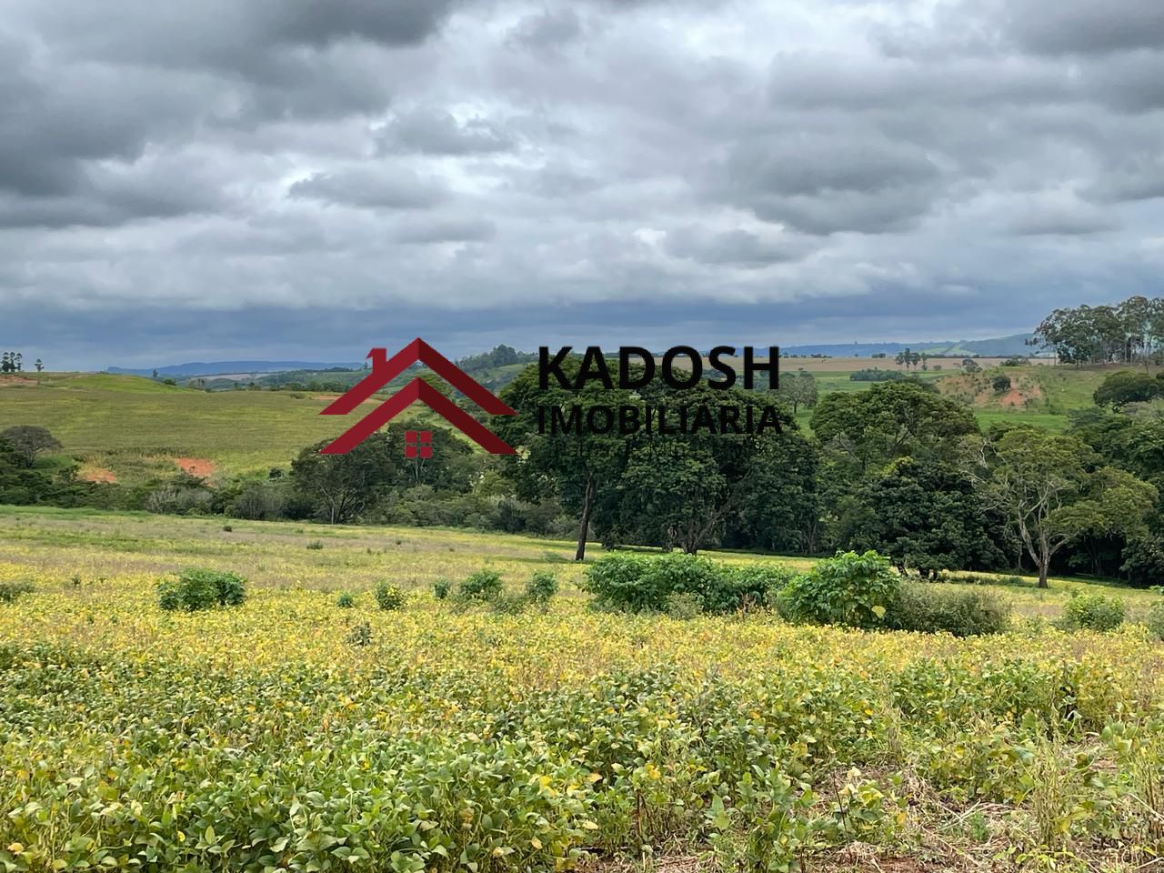 dcaaedf4-c3c5-457b-b778-c8a335565b29