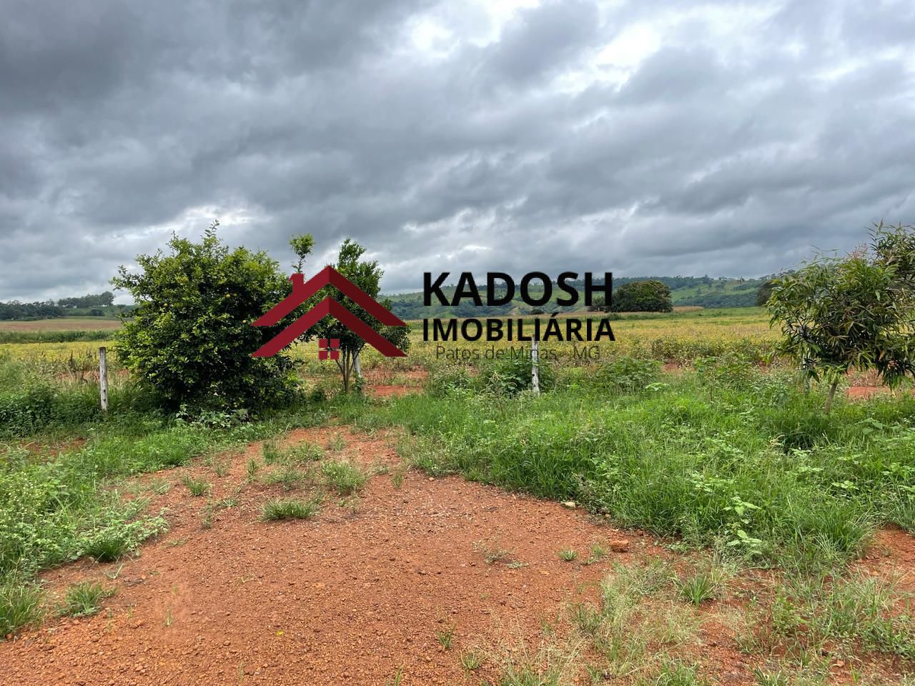 dfff0ea3-0703-4d12-8a74-629d4e070ceb