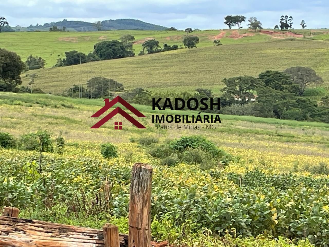 fefdfc42-cc7d-48fa-a0d8-ad9cc9155e07