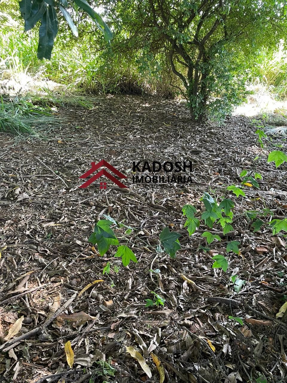 0122deae-ebb7-4e59-aa7f-a5230e9b90a3