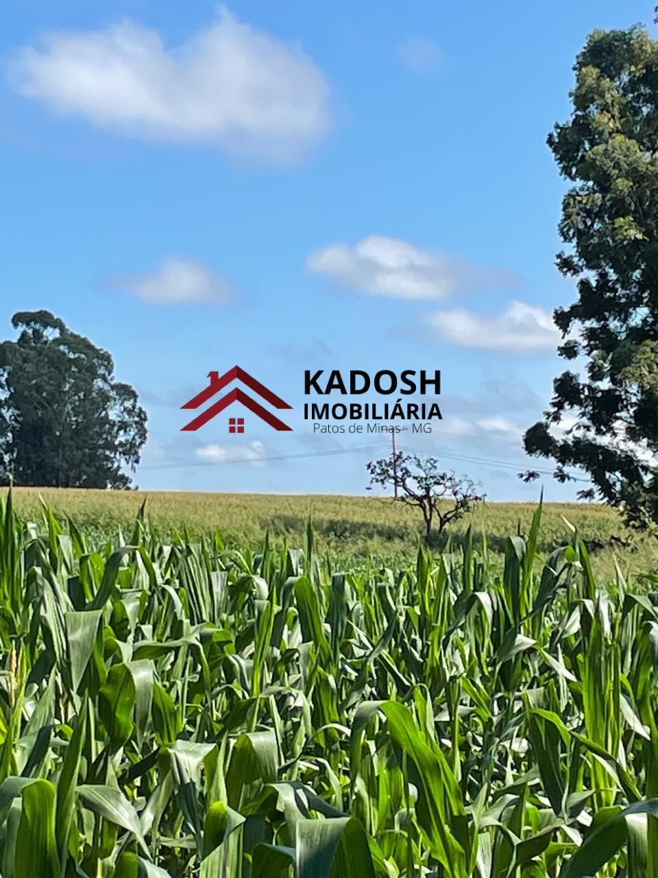 0c9952e9-e165-4329-bbd0-ca9d3be42ef1