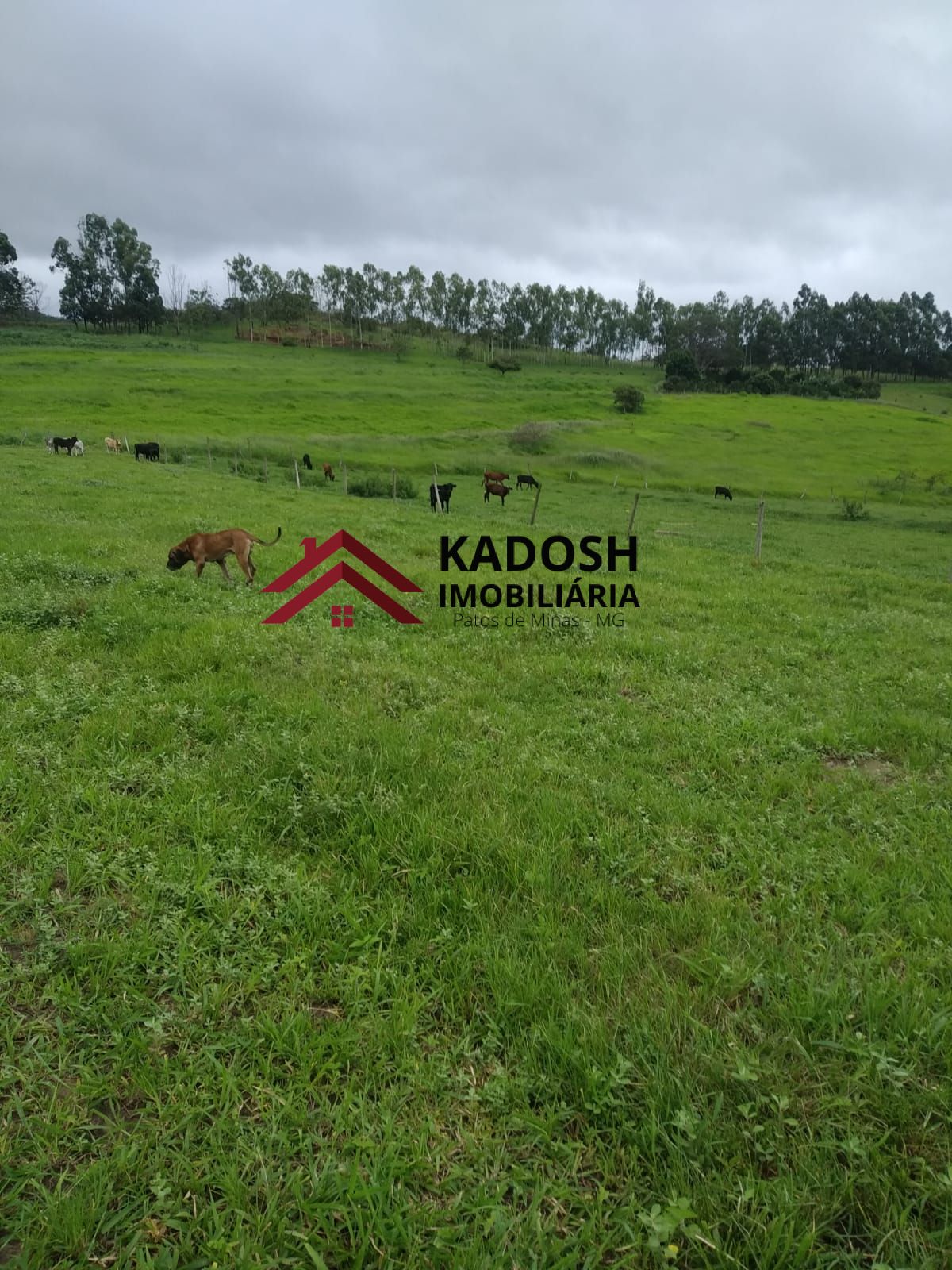 12c1cd89-7464-4fe4-858c-0537abc07f51