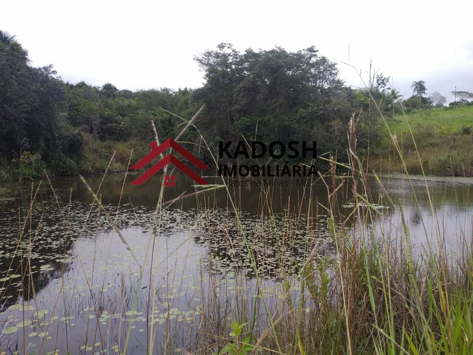 14b56cd6-687a-4a1e-a9ab-2957dc225247