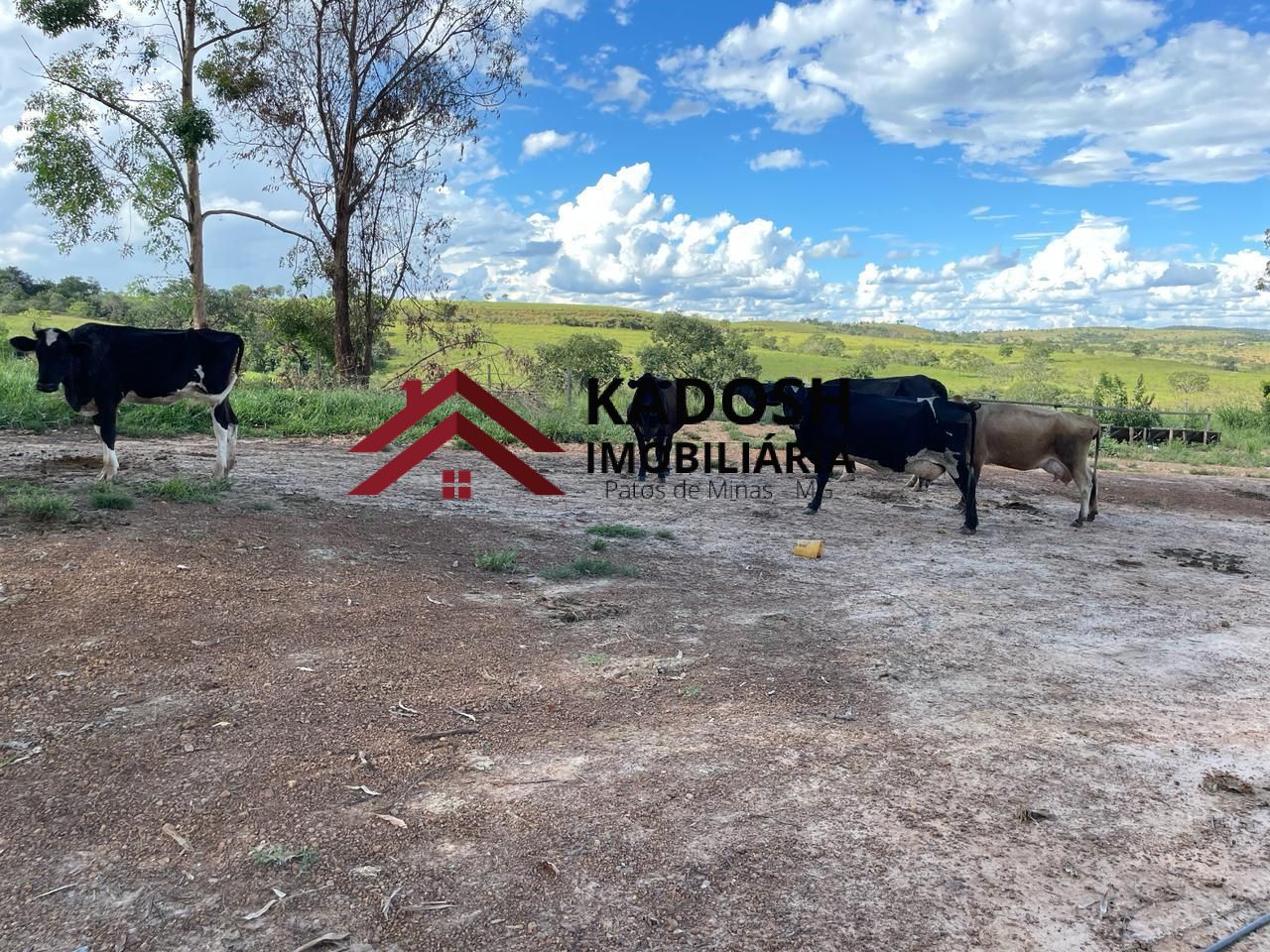 2ed8f81c-8ddb-429b-86c4-f9742fe35cbe