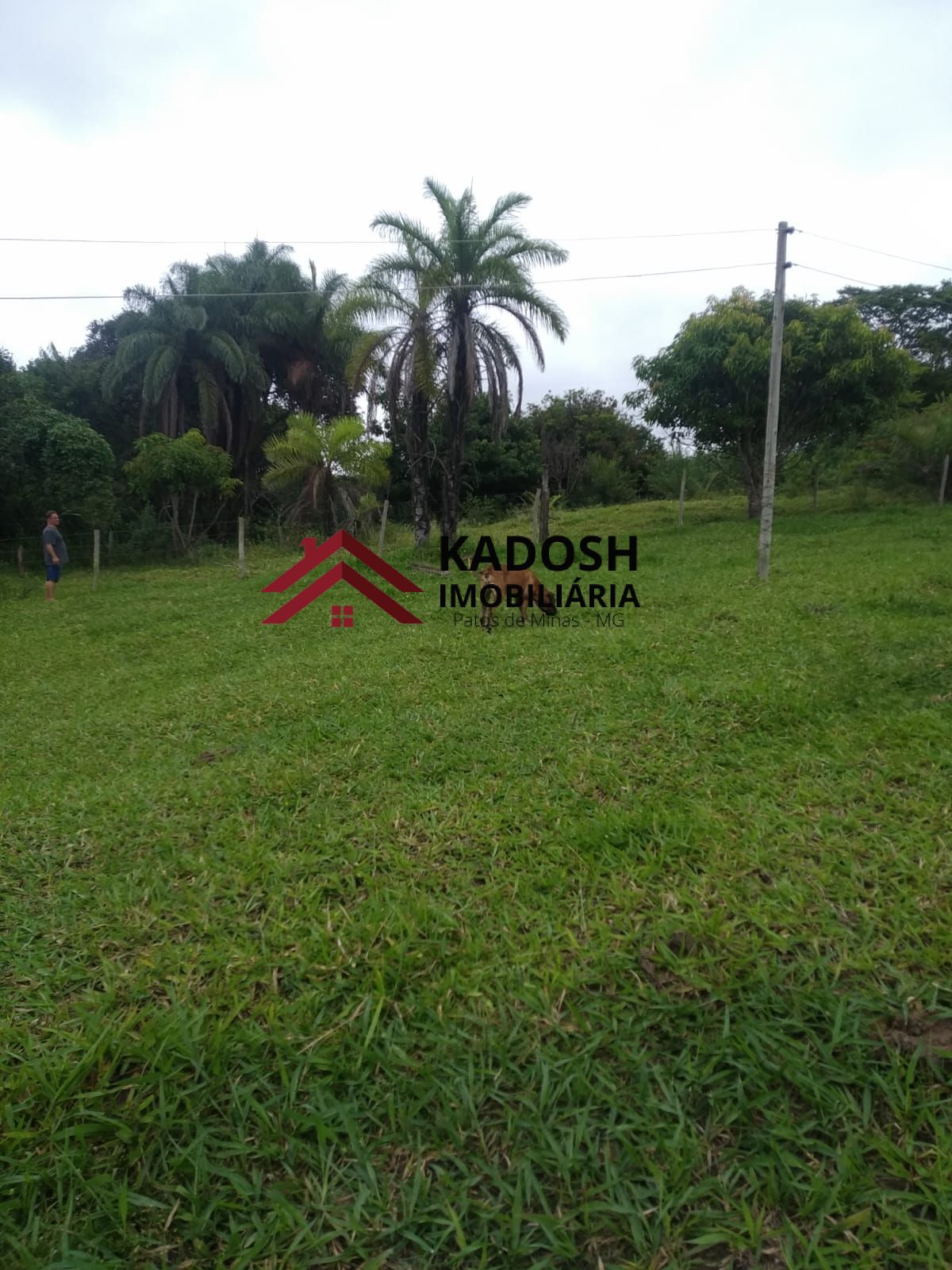 32616144-1cbe-4de4-a347-1bb4d7b1f4d4