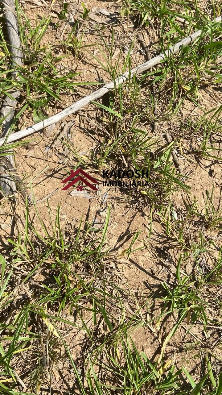 3914a45f-6e6d-4100-88fb-333731b1bd24