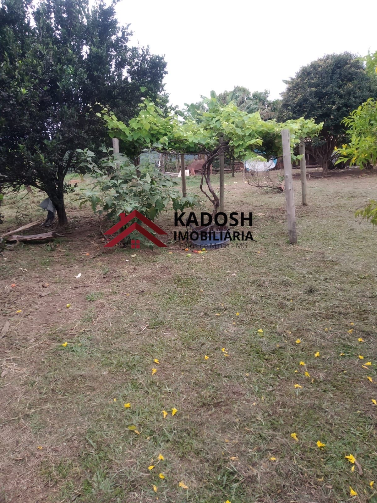 3fb9b8e8-c959-48d0-a61c-cbd41c919004