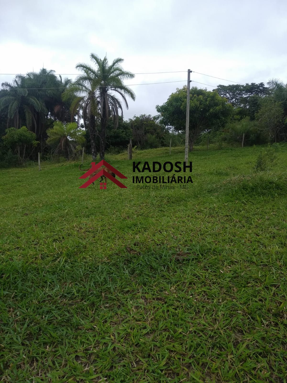 4749f719-5988-4e8a-b849-da76bcbf8a3b