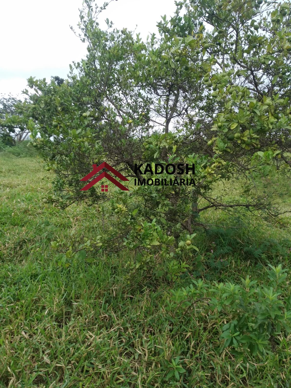 4d96984b-30c1-45da-8e62-f66e48784b54