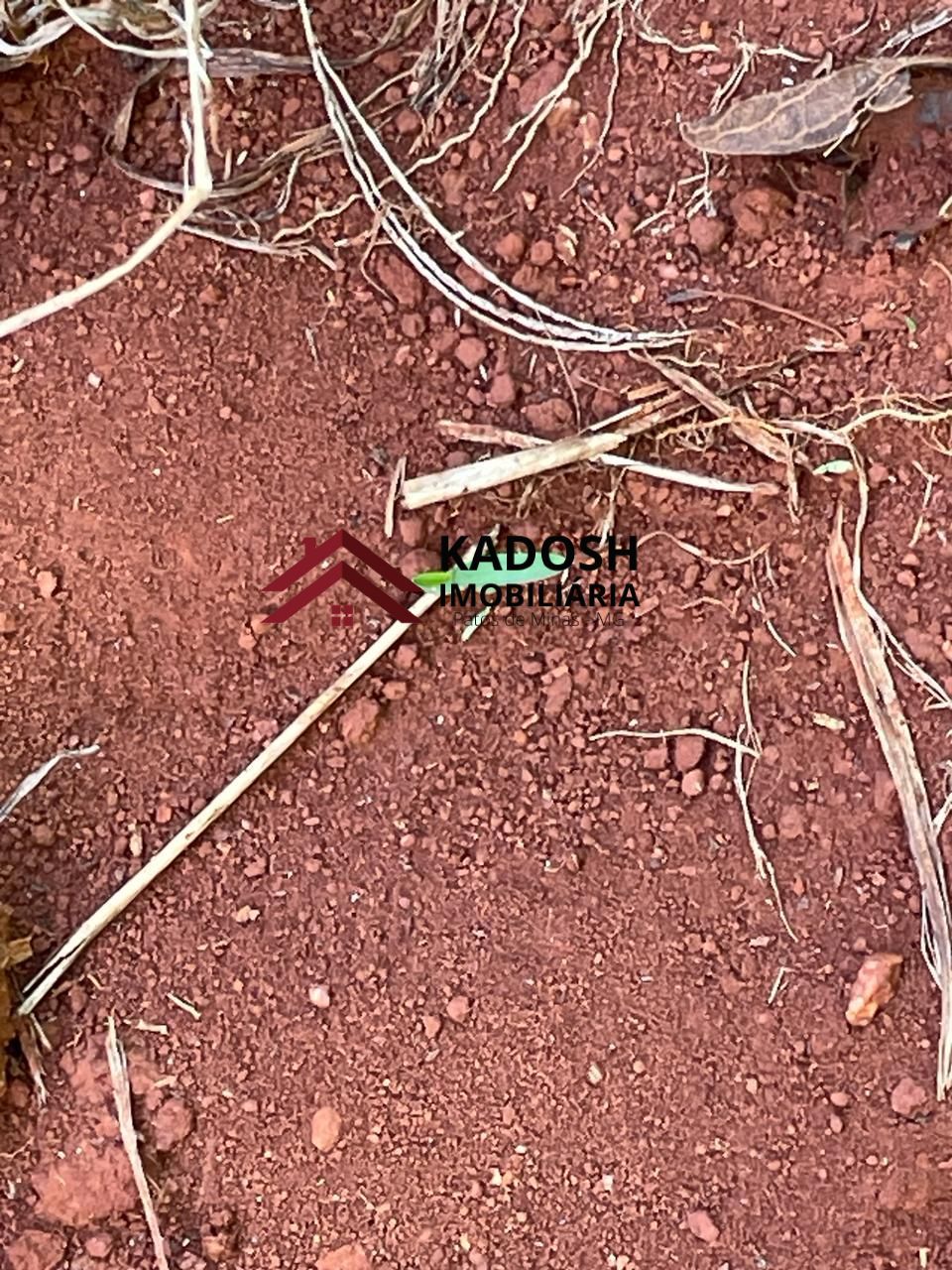 53f219c2-f297-4acd-b0a1-ea2236fe393e