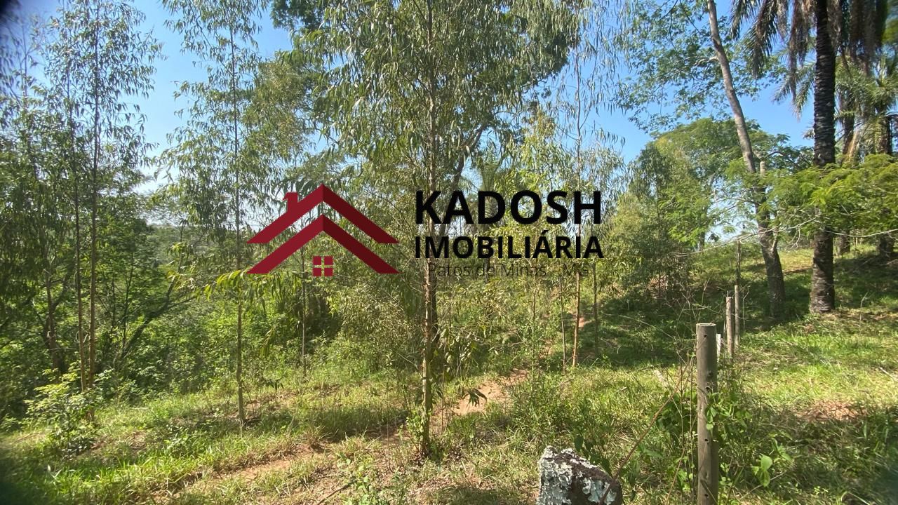 5590359d-e898-4430-96c5-90ee9556e350