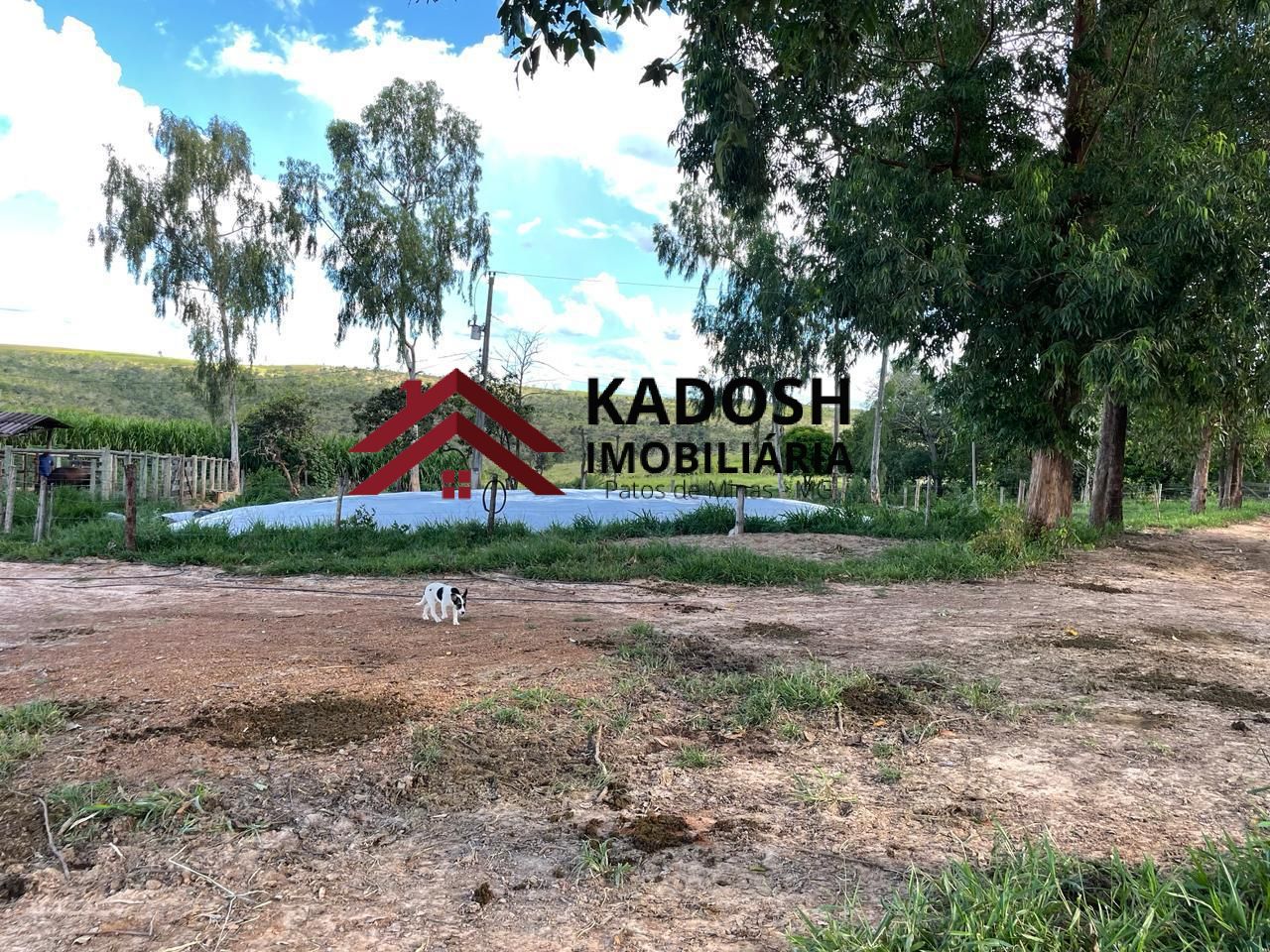 58bab20b-f679-4cc2-8bd0-6d6369387816