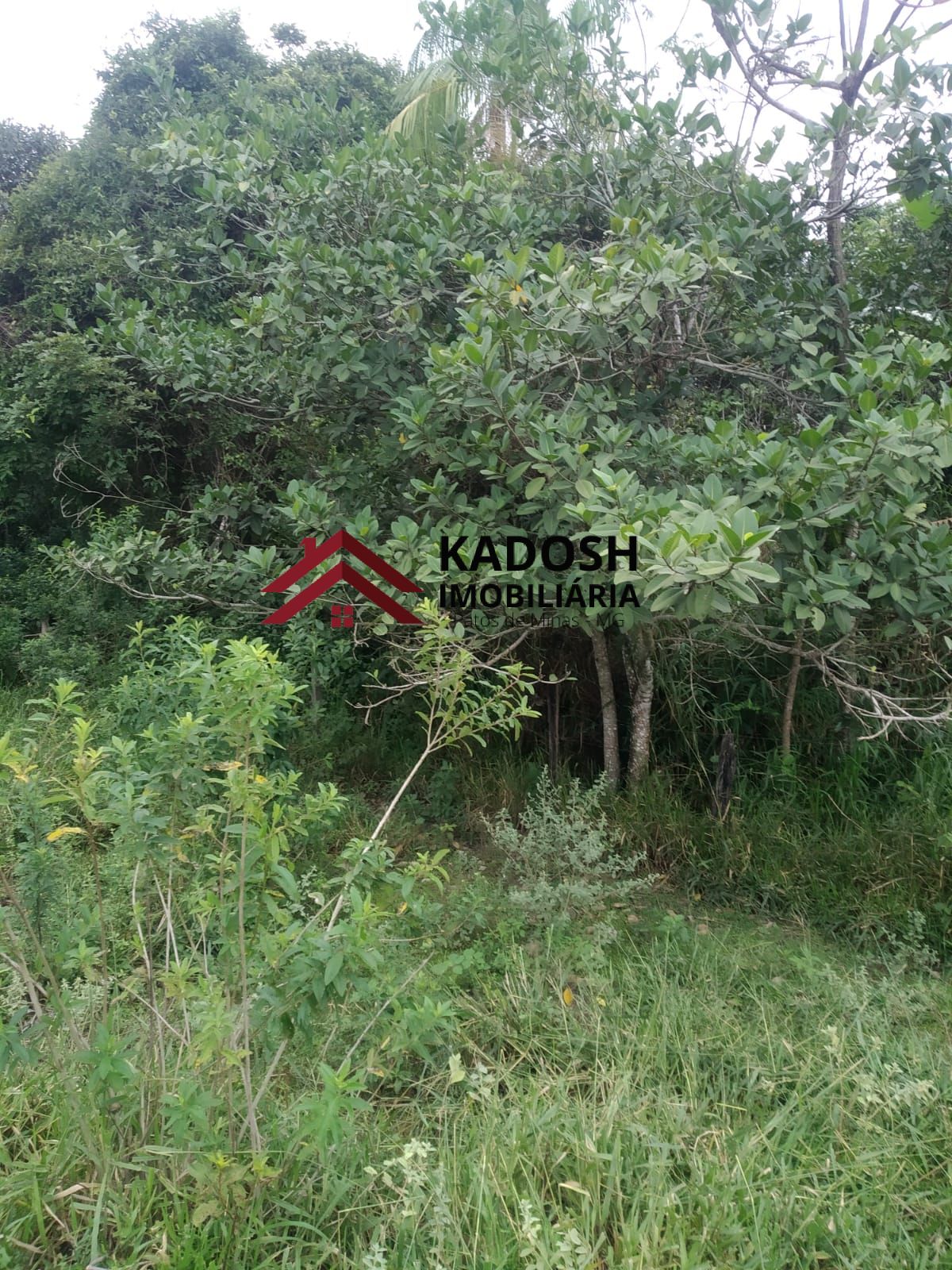 5ae53f38-fc40-47cd-92b1-0eb9172510e9