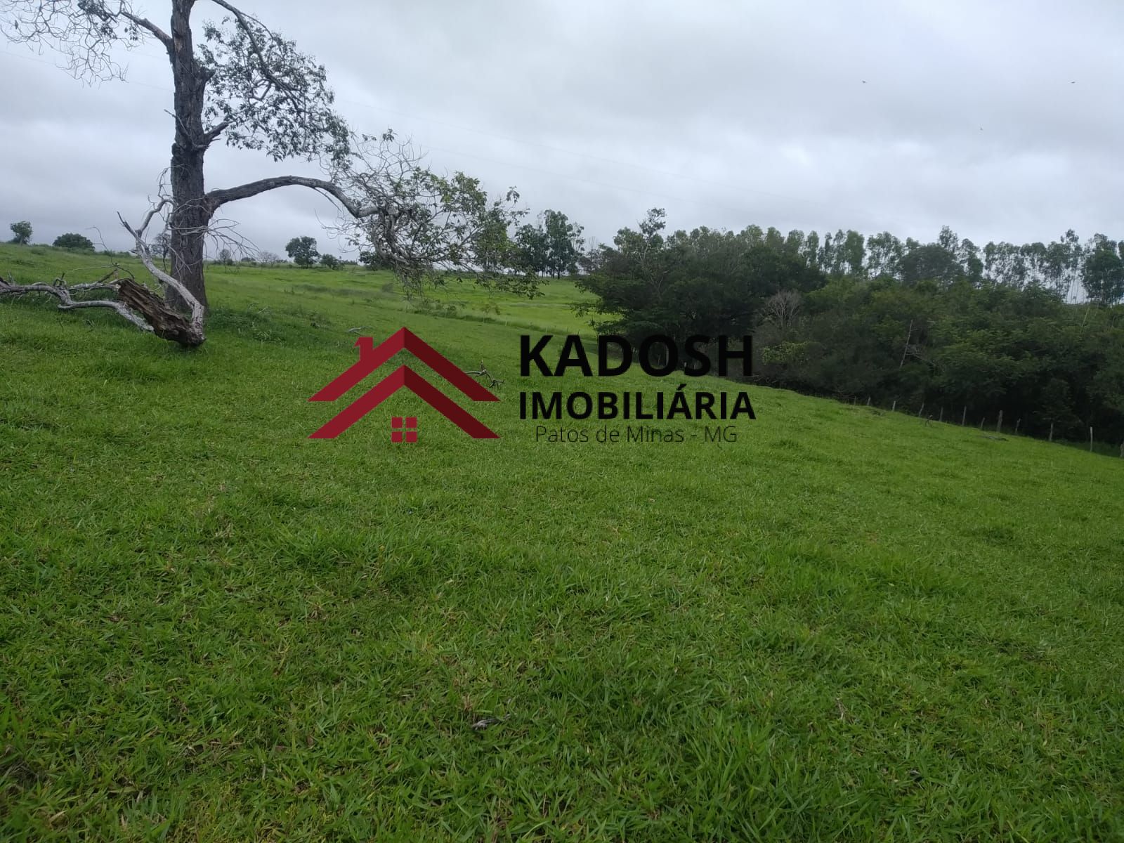 5fc1fec7-b402-4d1b-99ce-115f2153f774