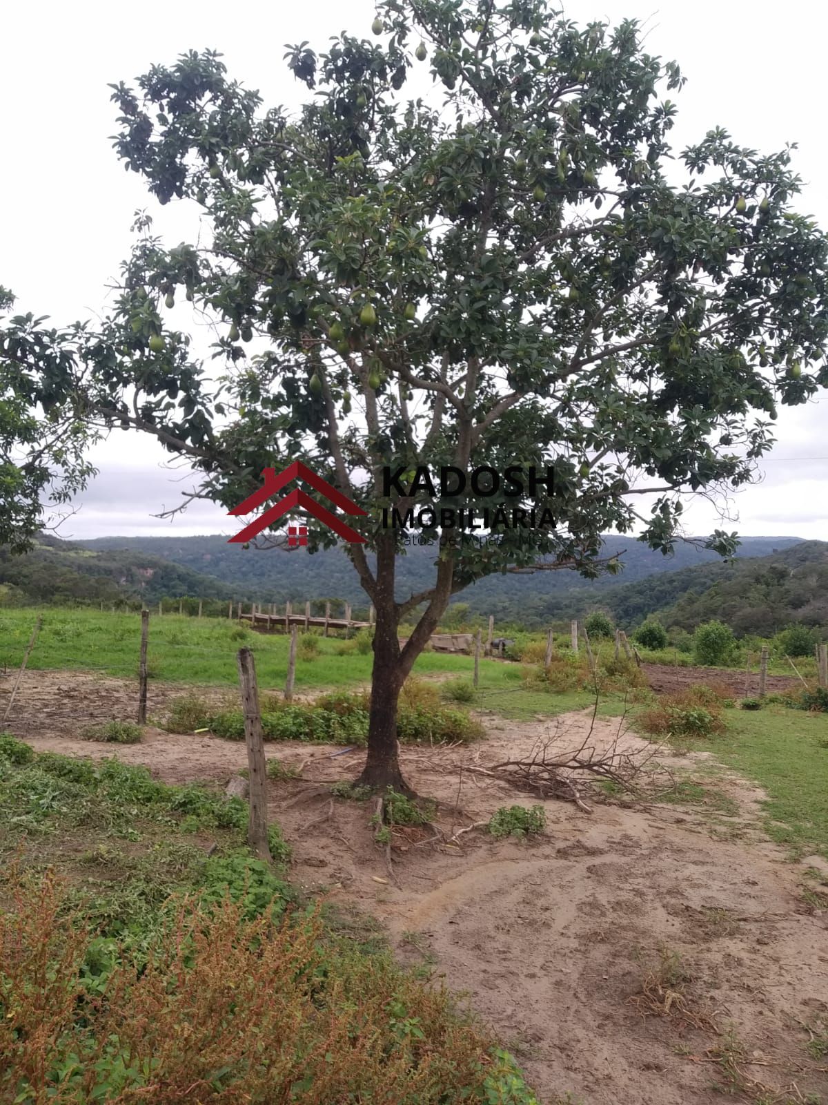 605e11db-ec71-4944-abec-4623ca17d72b