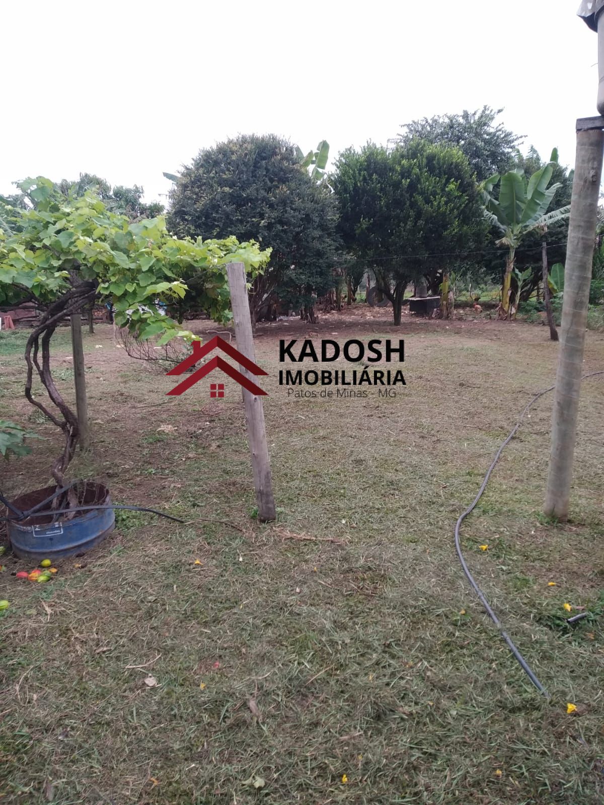 609bff5b-37a0-4038-9bed-055600c6158f