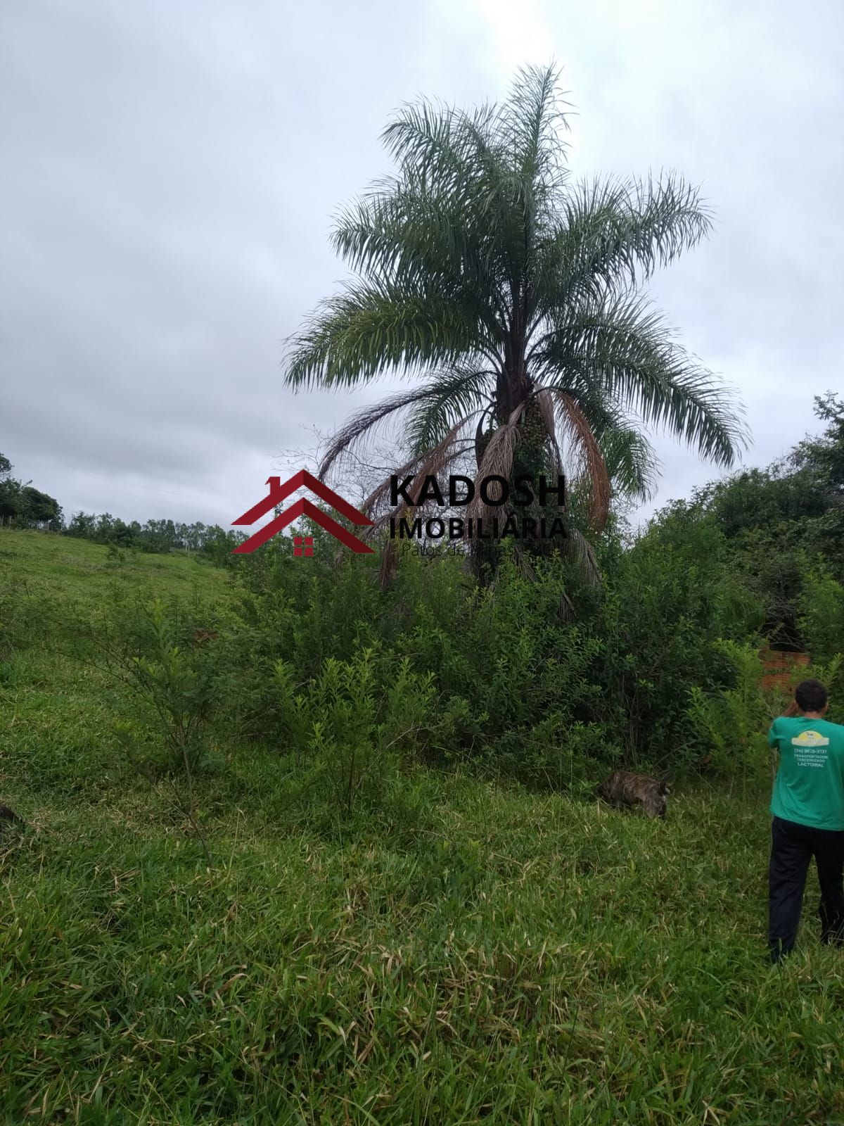 61e801f2-6454-401f-8b74-e461edaa6ba6