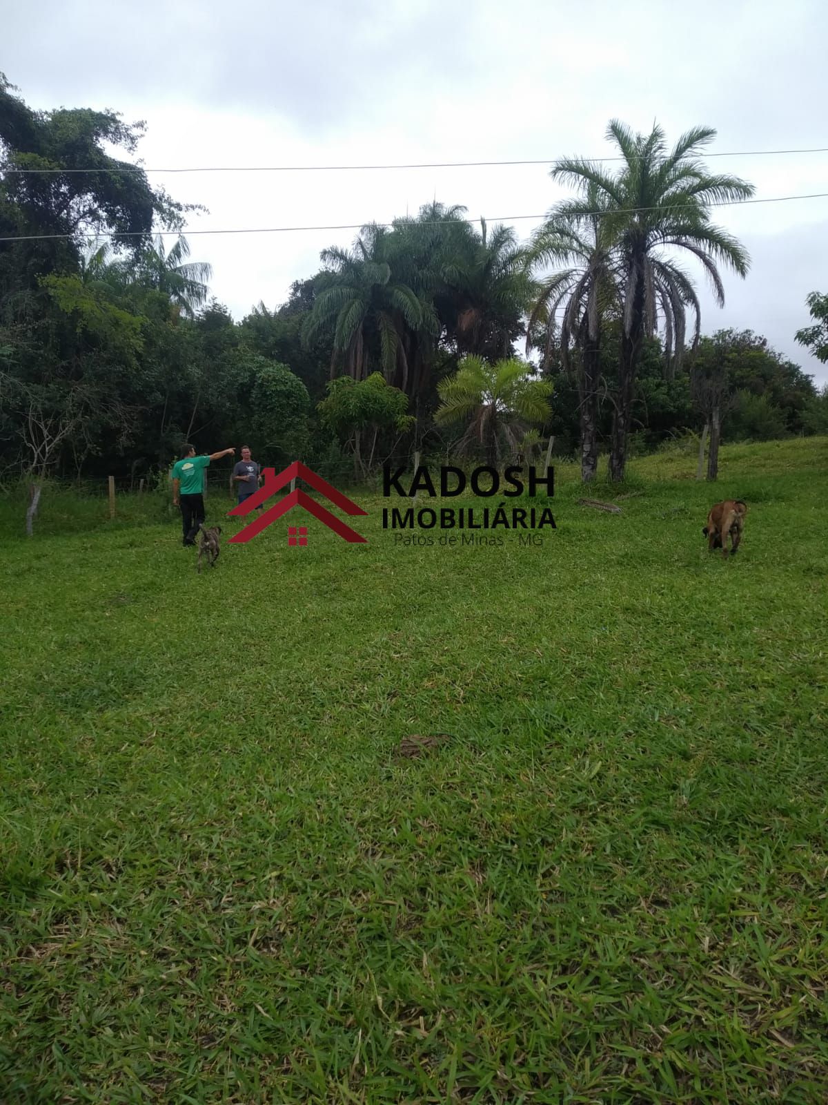 62de7495-123b-4e6e-b68e-32c2e47c9840