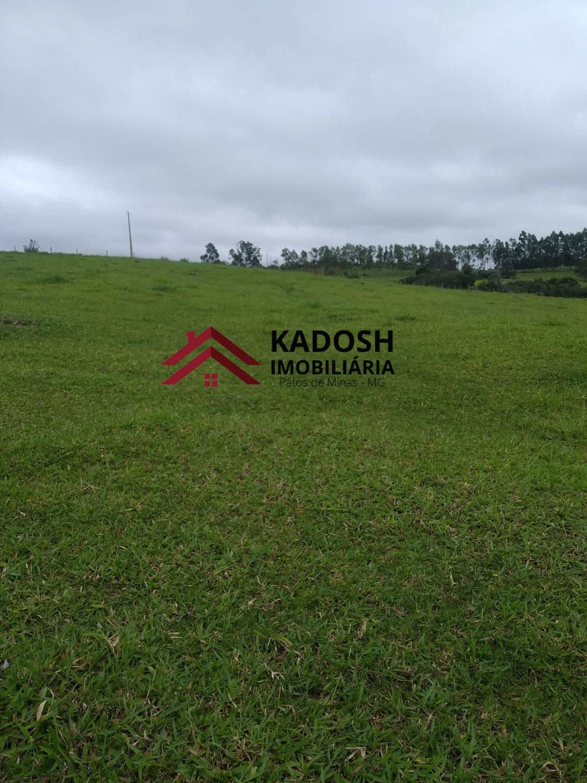 7386ec40-eade-4c1d-af29-711ac9d4f311