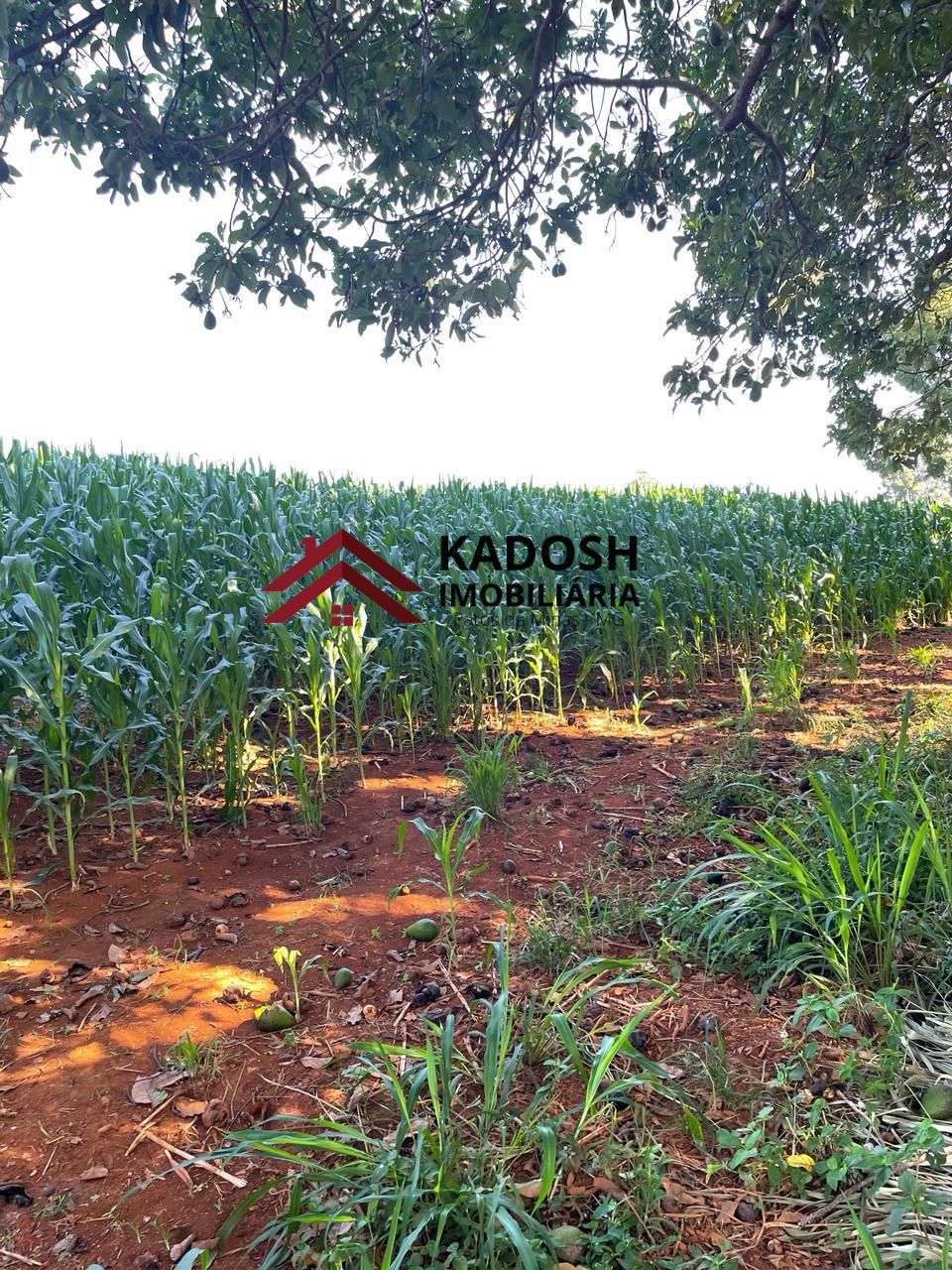 7c81c95c-af5e-4605-8765-c5be1436c14e