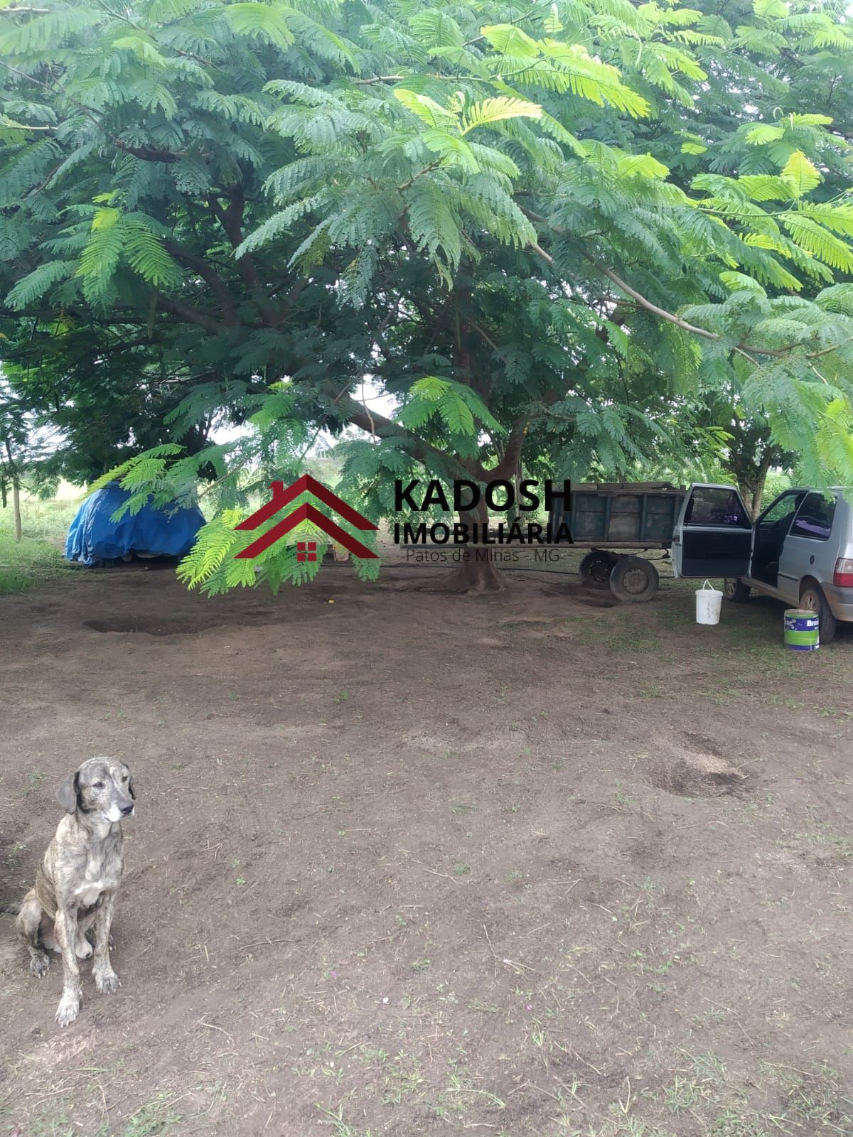 898c61af-16c2-4369-80f3-1950d0649462