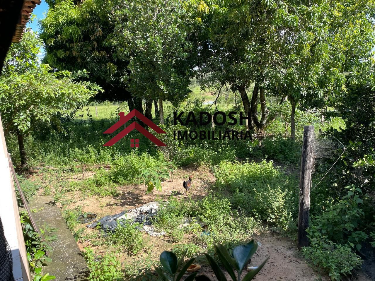 8b61a300-999b-47c3-8c28-1b2570b3621b