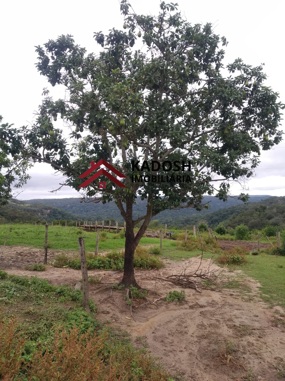 98dedb83-8d58-4ae9-bdf1-7902db8f7edd