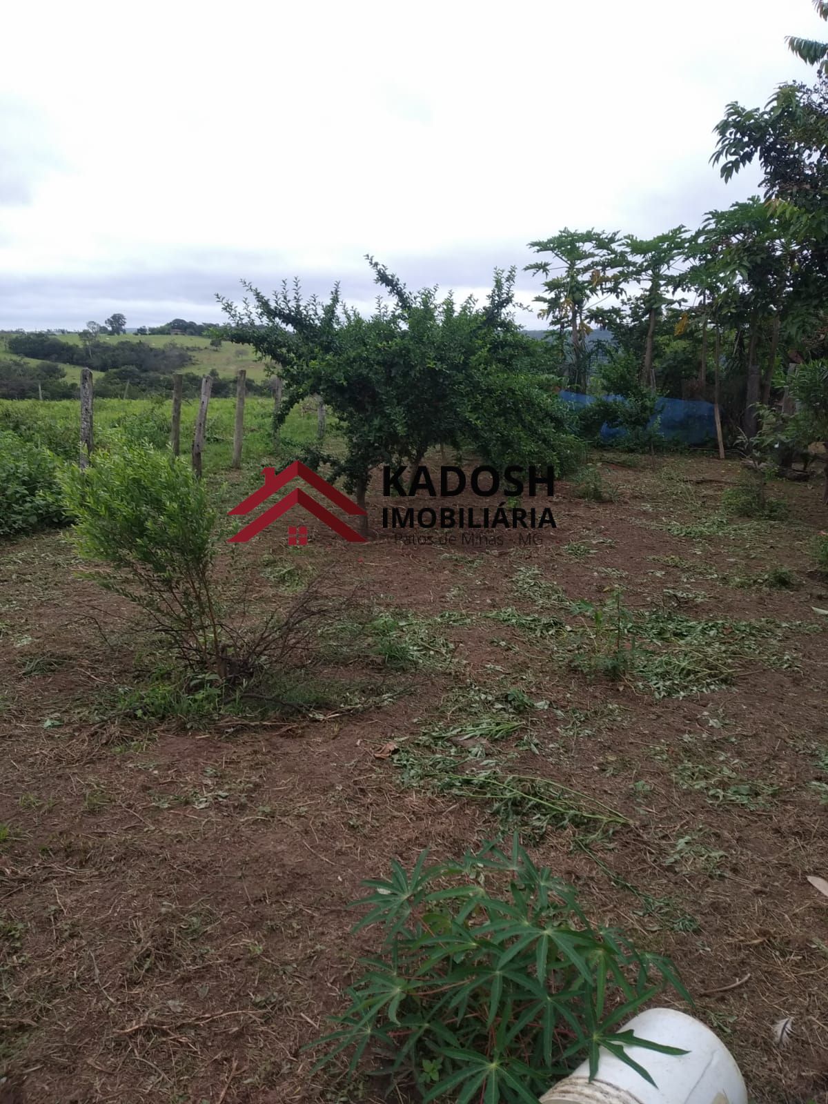 ab317982-9825-44a1-846d-ff7a3504dd5f