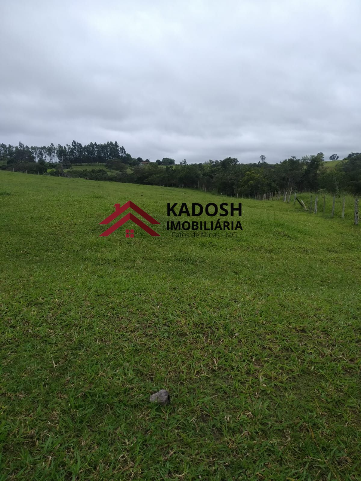 af19581c-038d-46b6-9cc4-f474ca084591