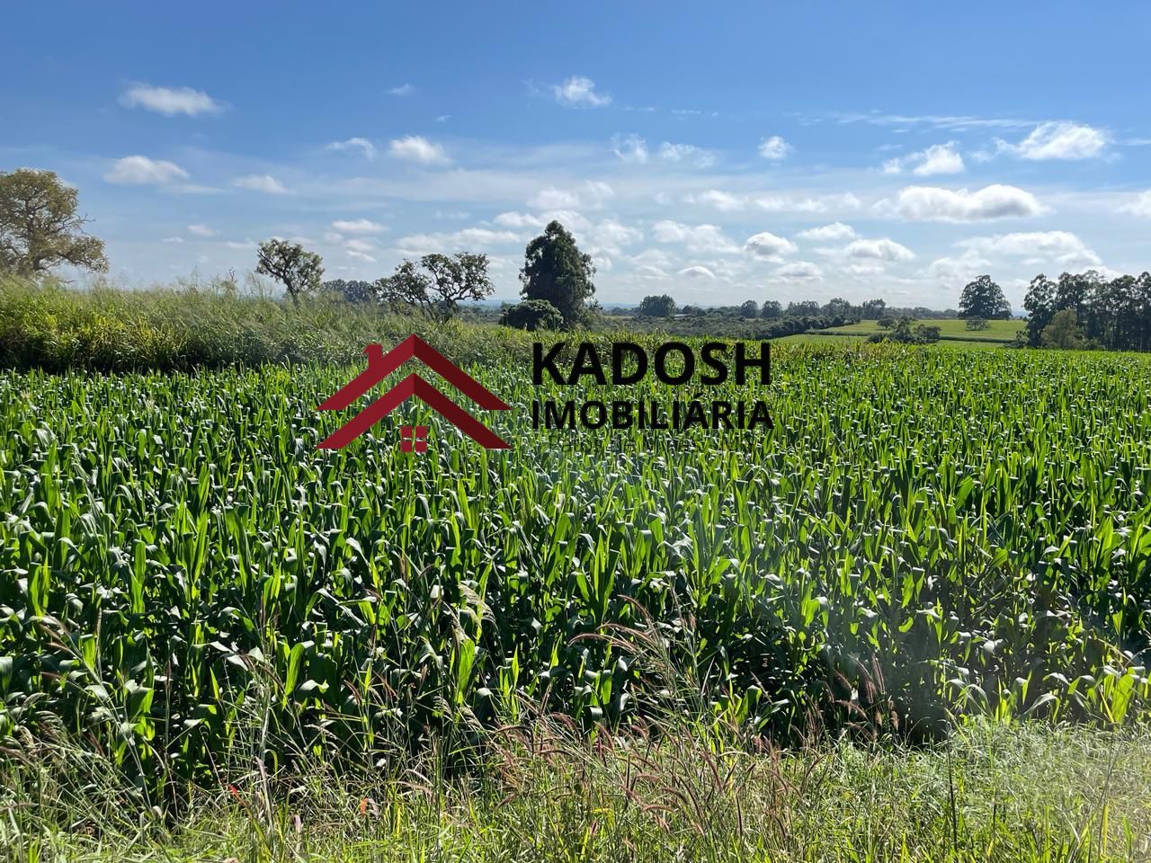 b89852f9-5f31-4d00-8d0e-8458d9e8a839