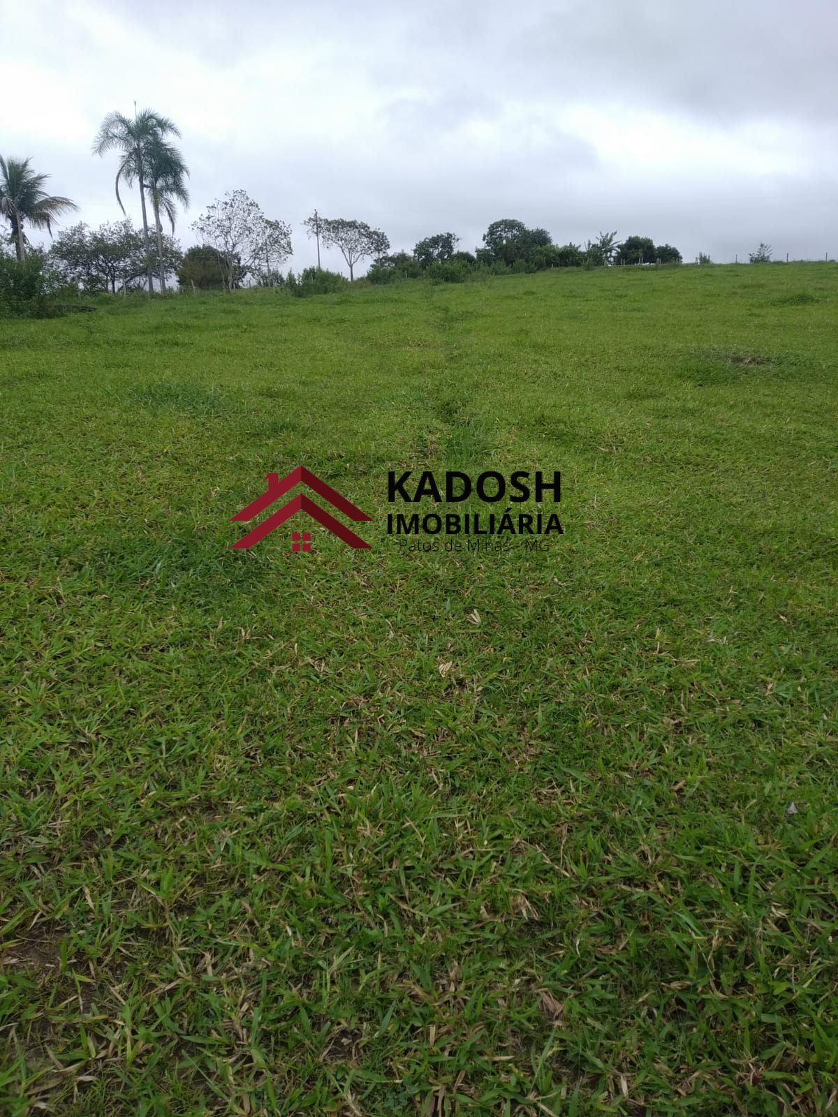 bbe00edb-cda4-4f50-9f4e-135fc9003398